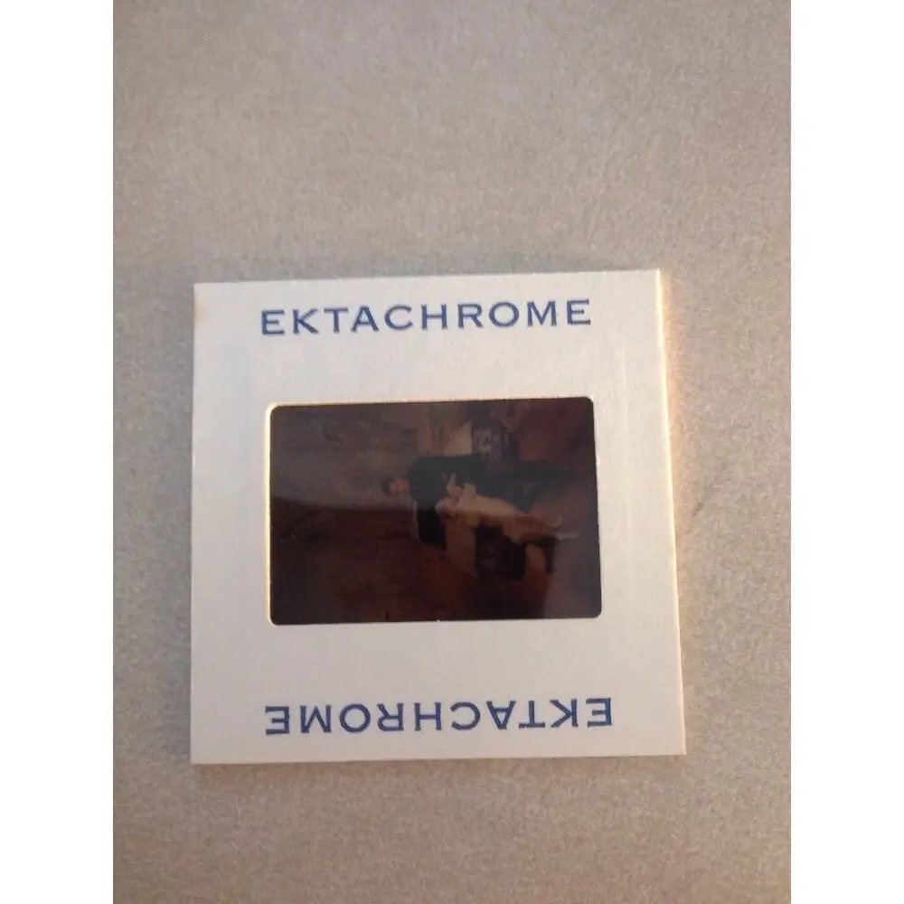Vintage 70s Man Playing w/ Dog Car Automobile Ektachrome Photograph Color Slide